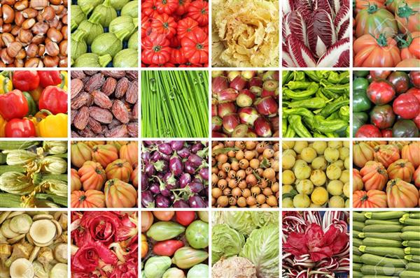 Veggies Veggies